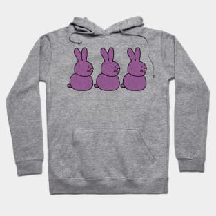 Three Purple Bunny Rabbits for Easter Hoodie